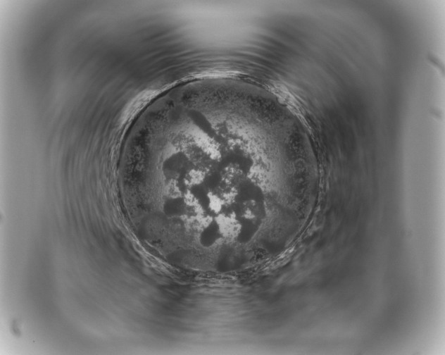 X0000096430337200801241343