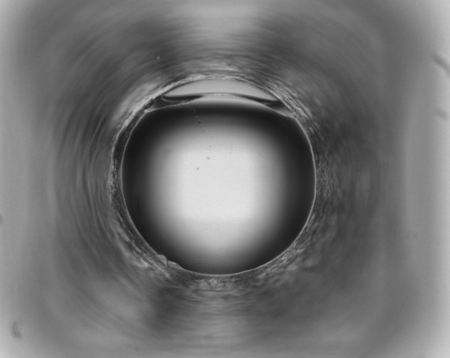 X0000096430338200801241343