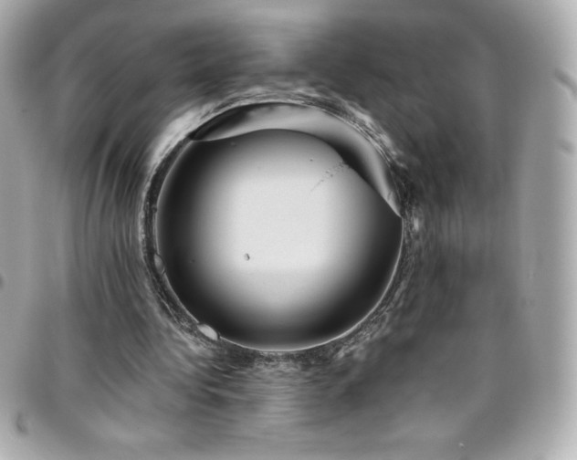 X0000096430340200801241343