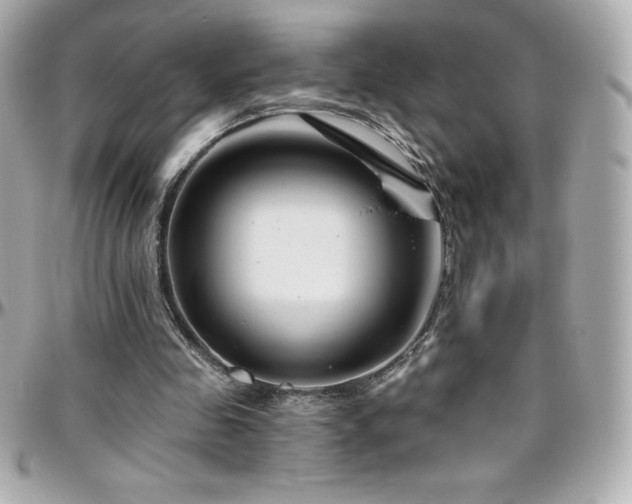 X0000096430341200801241343