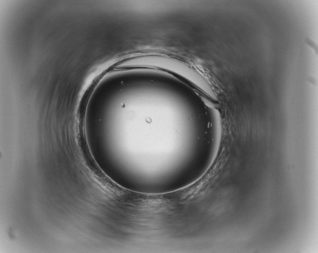 X0000096430342200801241343