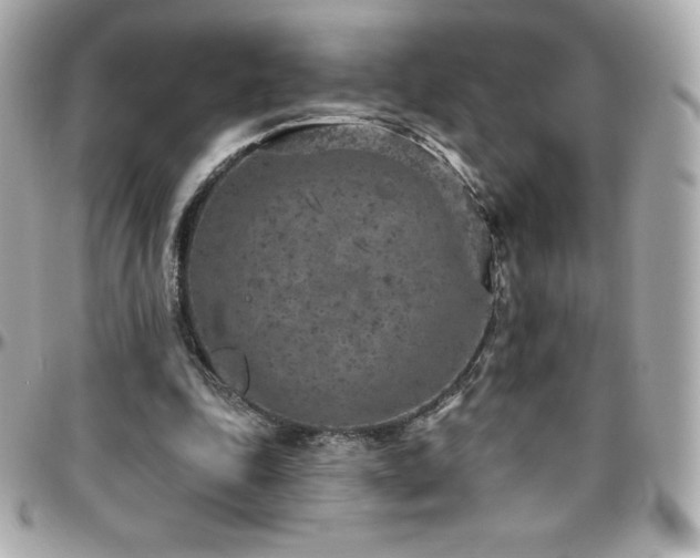 X0000096430343200801241343