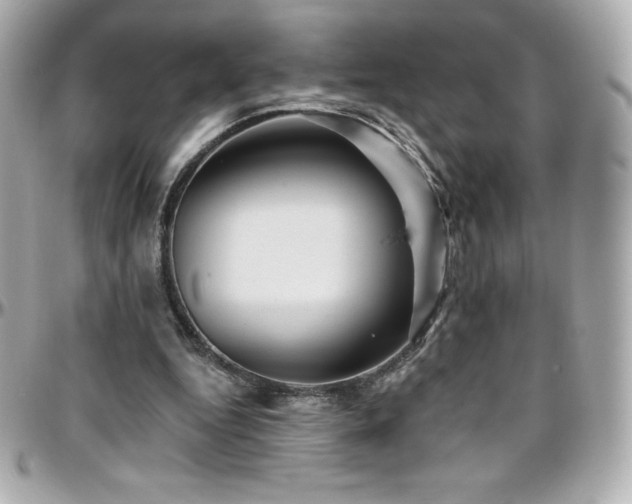 X0000096430344200801241343