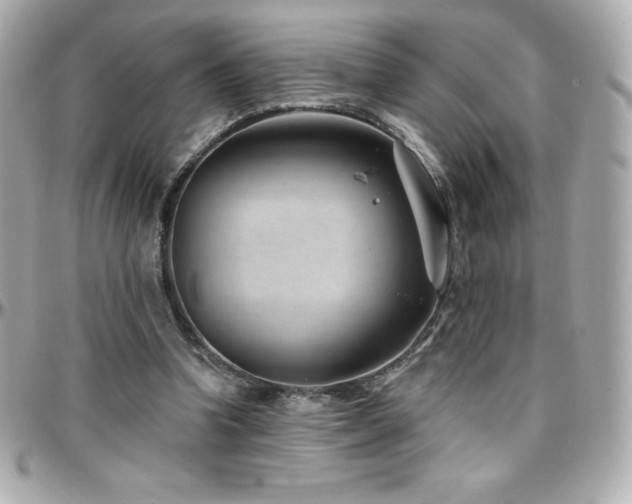 X0000096430346200801241343
