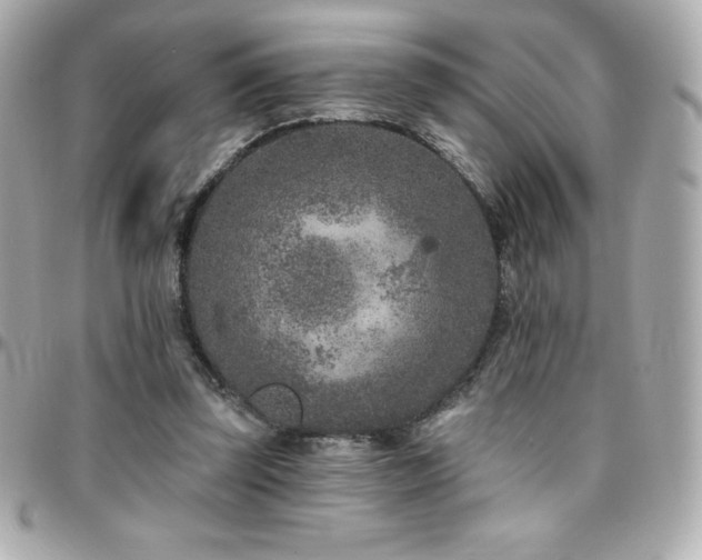 X0000096430347200801241343