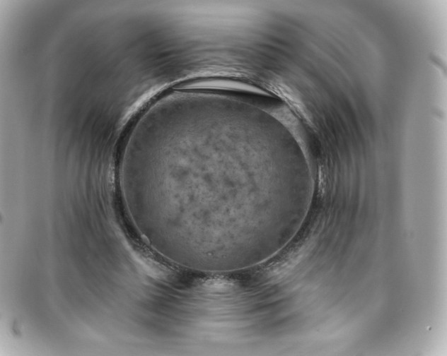 X0000096430348200801241343