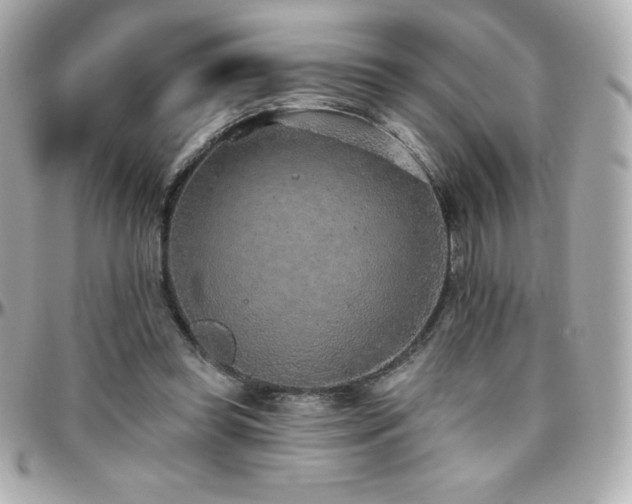 X0000096430349200801241343
