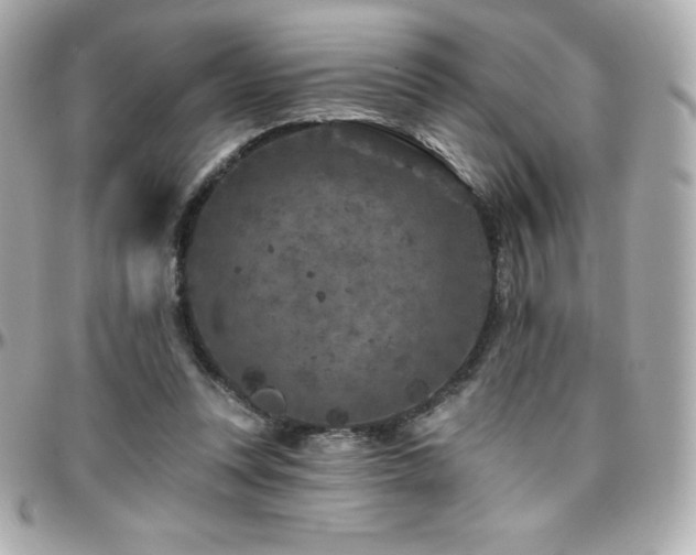 X0000096430351200801241343