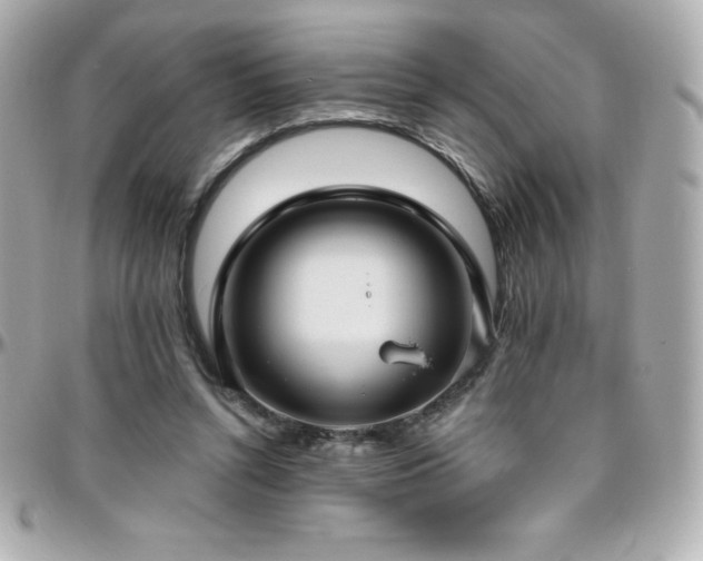 X0000096430352200801241343