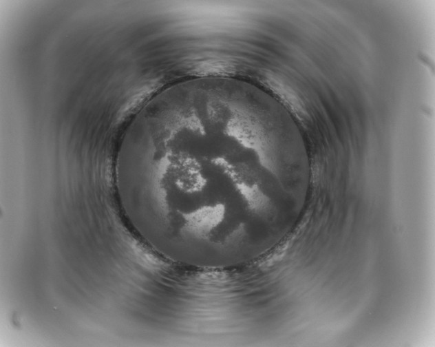 X0000096430353200801241343