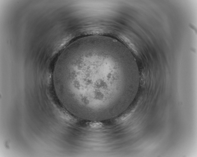X0000096430355200801241343
