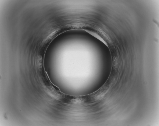 X0000096430356200801241343