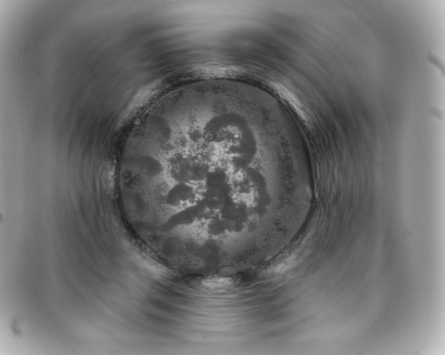 X0000096430357200801241343