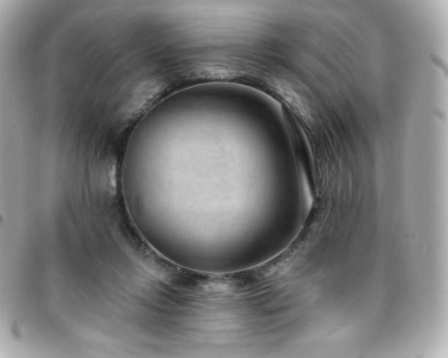 X0000096430358200801241343