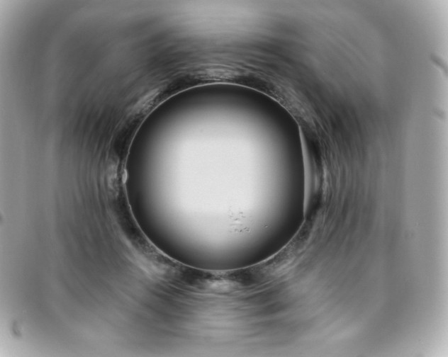 X0000096430360200801241343