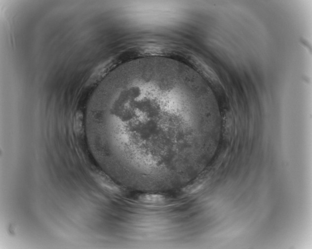 X0000096430361200801241343