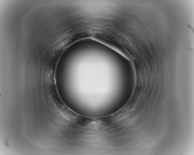 X0000096430364200801241343