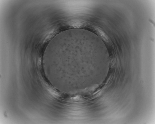 X0000096430365200801241343