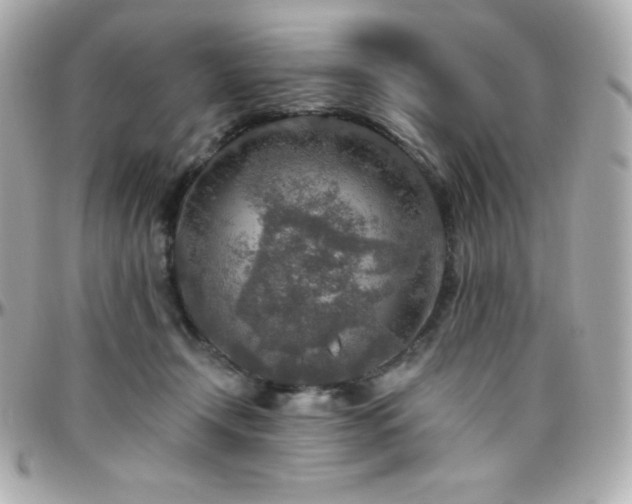 X0000096430366200801241343
