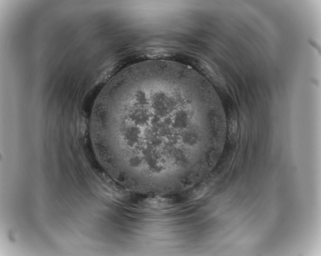 X0000096430367200801241343