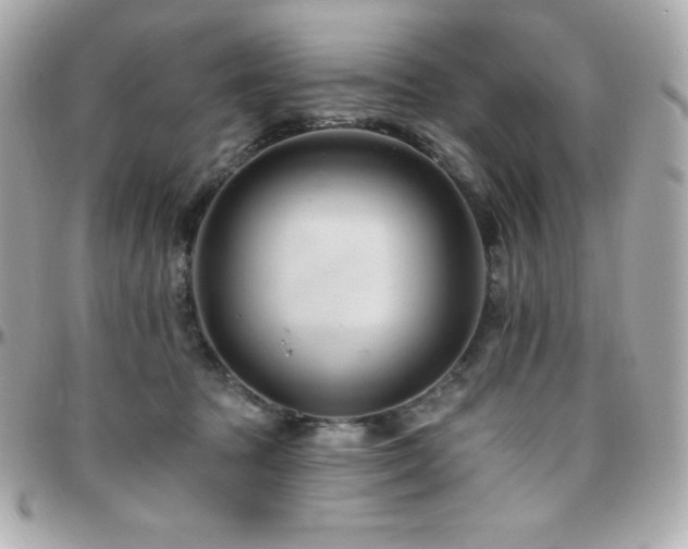 X0000096430369200801241343
