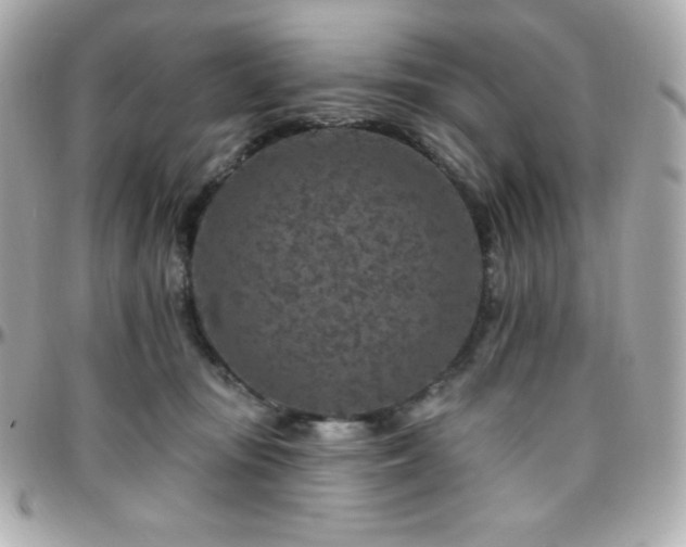 X0000096430371200801241343