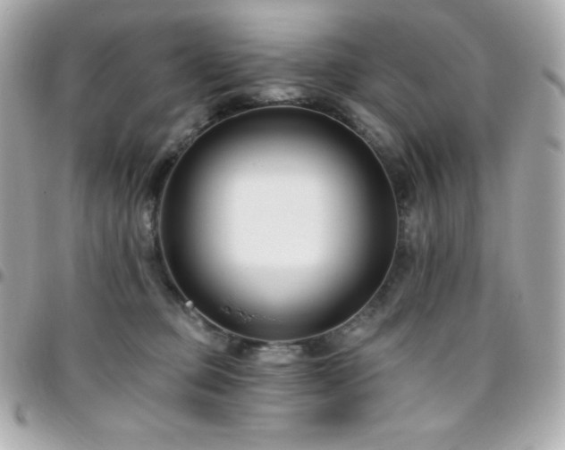 X0000096430373200801241343