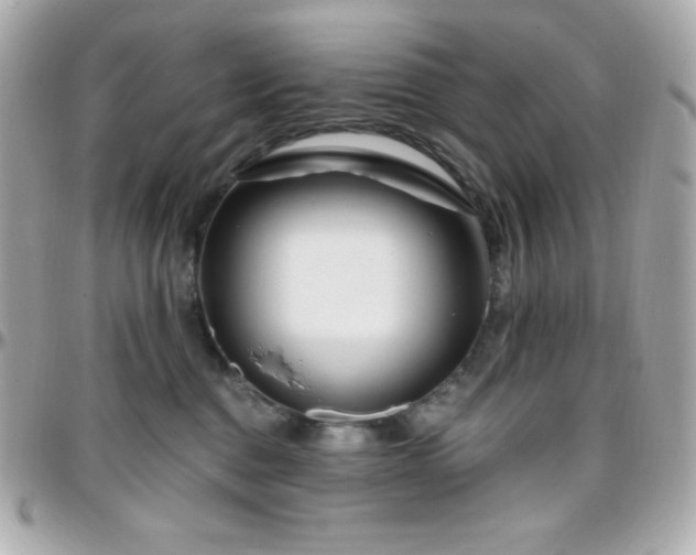 X0000096430376200801241343