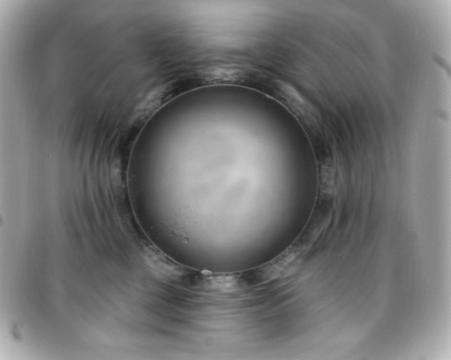 X0000096430377200801241343