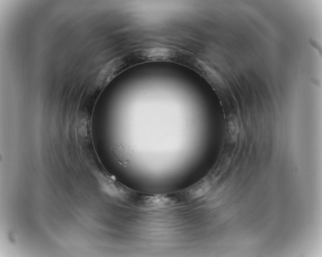 X0000096430379200801241344