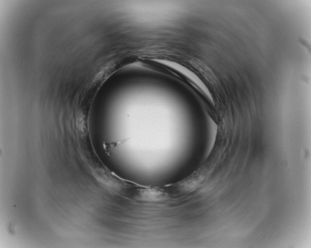X0000096430380200801241344