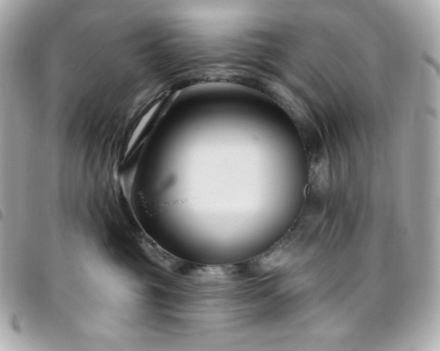 X0000096430381200801241344