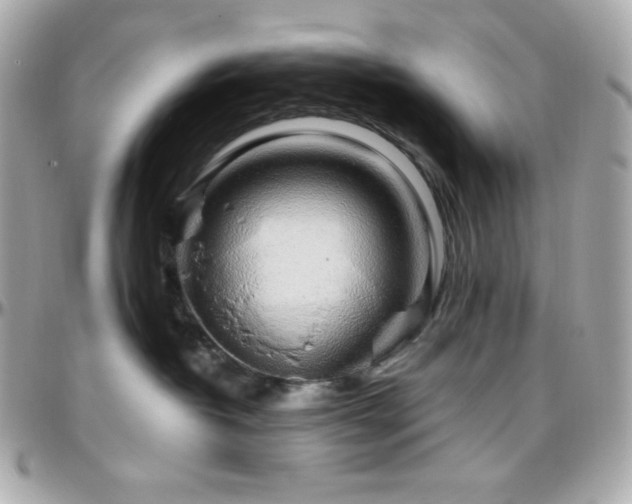 X0000096430382200801241344