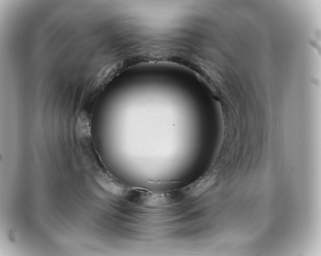 X0000096430384200801241344