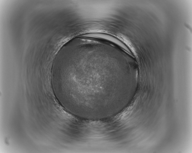 X0000096430385200801241343