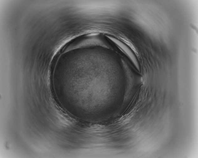 X0000096430387200801241343