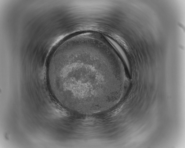 X0000096430388200801241343