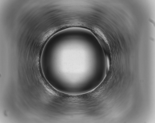 X0000096430389200801241343