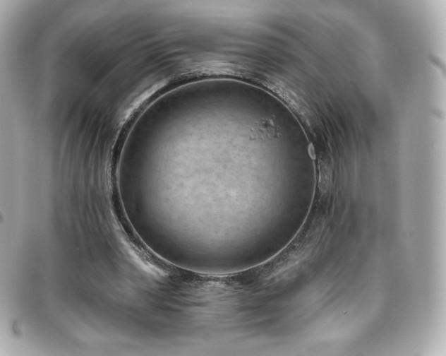 X0000096430390200801241343