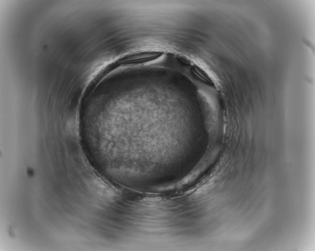 X0000096430391200801241343