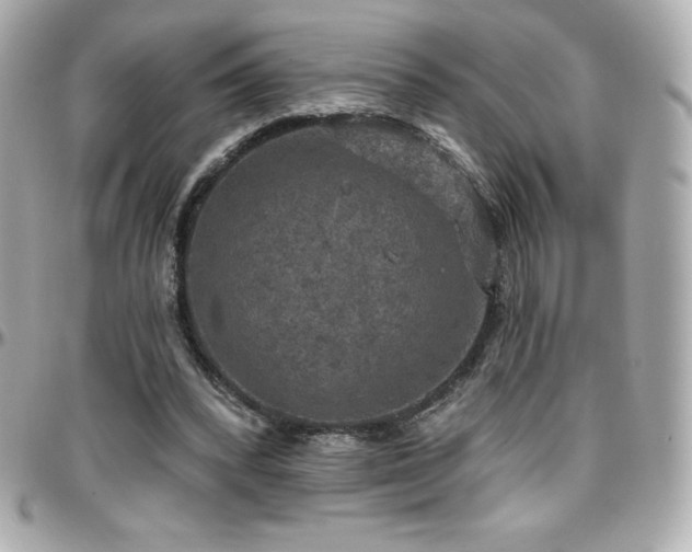 X0000096430392200801241343