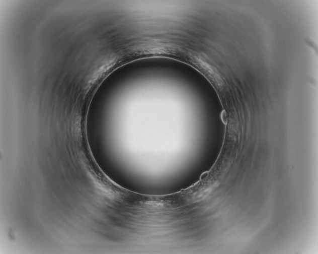 X0000096430394200801241343