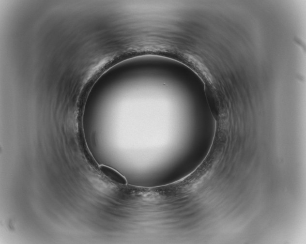 X0000096430395200801241343