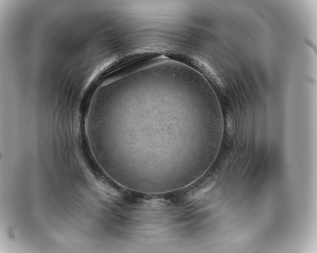 X0000096430396200801241343