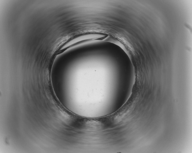 X0000096430397200801241343