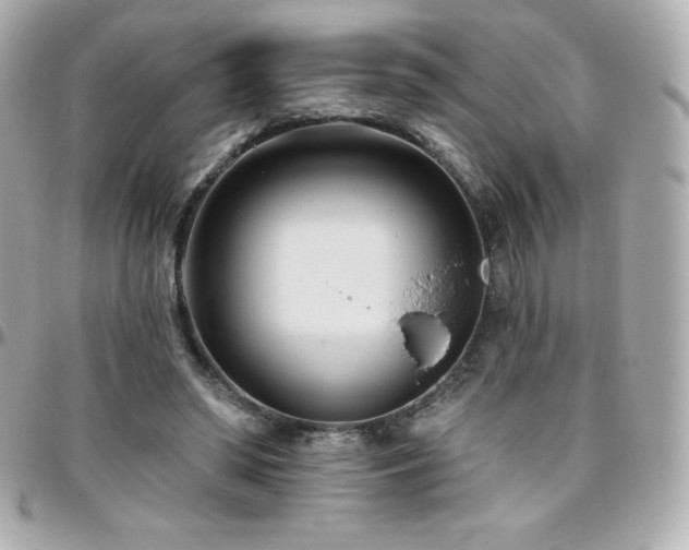 X0000096430398200801241343