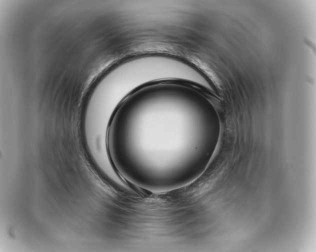 X0000096430399200801241343
