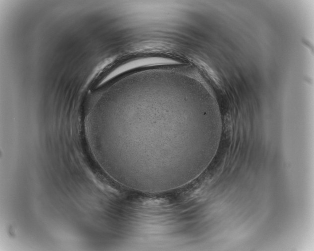 X0000096430400200801241343