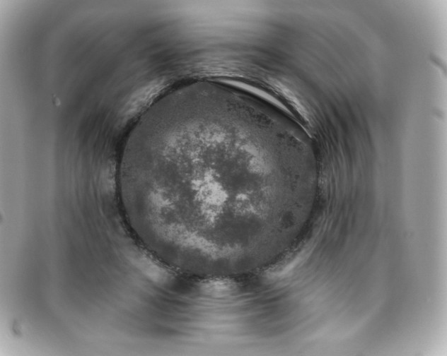 X0000096430402200801241343