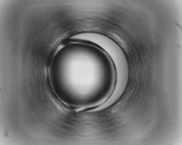 X0000096430405200801241342